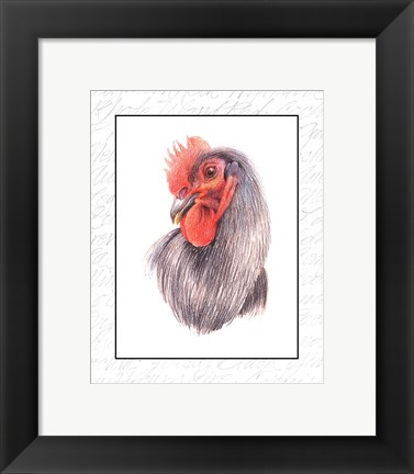 Framed Rooster Insets IV Print