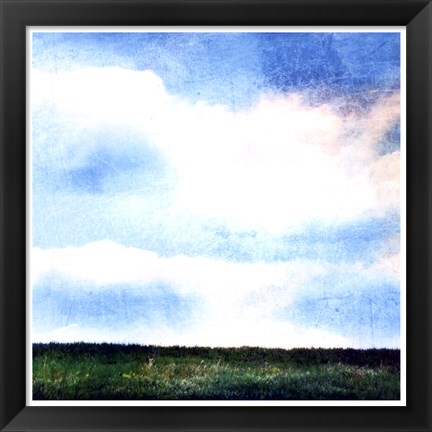 Framed Bright Field III Print