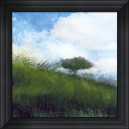Framed Bright Field IV Print