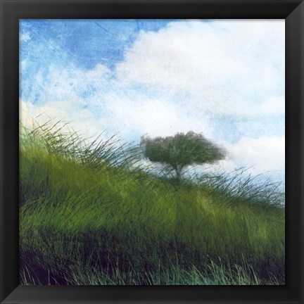 Framed Bright Field IV Print