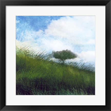 Framed Bright Field IV Print