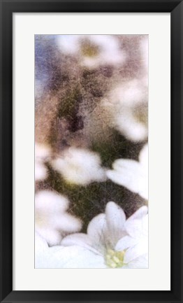 Framed Looking Glass II Print