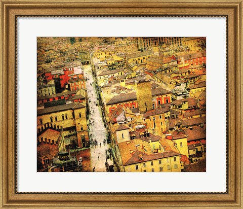 Framed Bird&#39;s-eye Italy IV Print