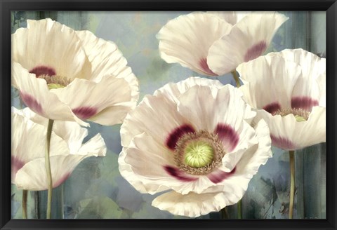 Framed Tasmanian Poppies I Print