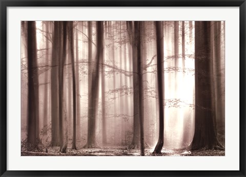 Framed Cloaking Woods Print