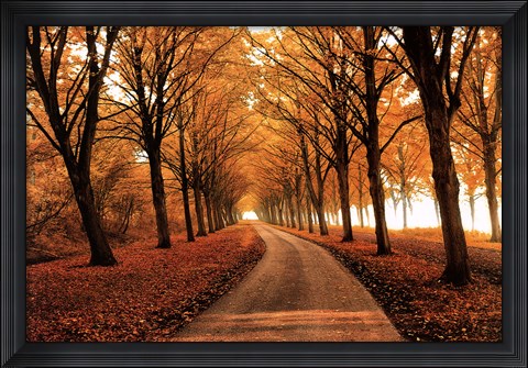 Framed Well Traveled Print