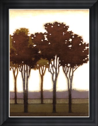 Framed Arboreal Grove II Print