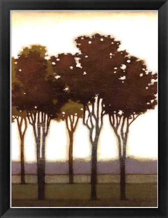 Framed Arboreal Grove II Print