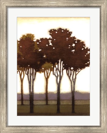 Framed Arboreal Grove II Print
