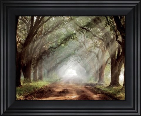 Framed Evergreen Plantation B Print