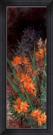 Framed Wild Lily Garden I Print