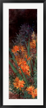 Framed Wild Lily Garden I Print