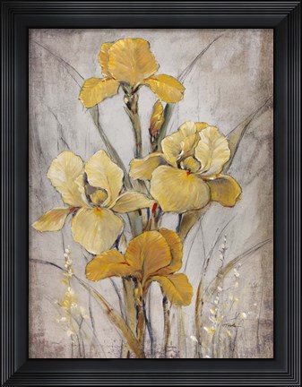 Framed Golden Irises I Print