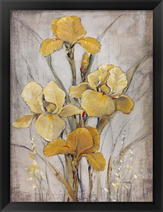 Framed Golden Irises I Print