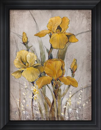 Framed Golden Irises II Print