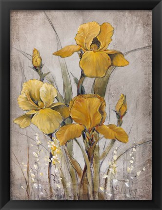 Framed Golden Irises II Print