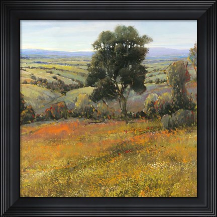 Framed Field In Summer Print