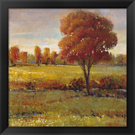 Framed Field in Fall Print