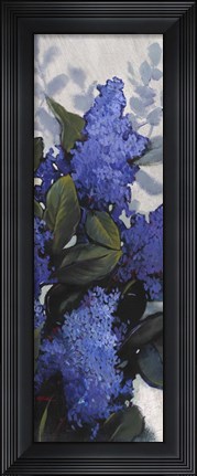Framed Lilac Spray II Print