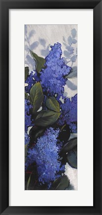 Framed Lilac Spray II Print