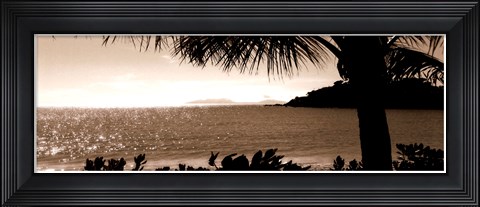 Framed After the Rains Print