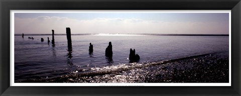 Framed Beach Study I Print