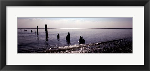 Framed Beach Study I Print