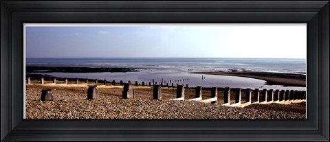 Framed Beach Study IV Print