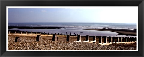 Framed Beach Study IV Print