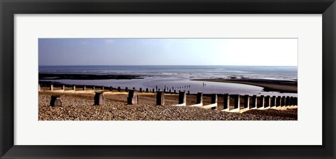 Framed Beach Study IV Print