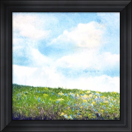 Framed Bright Field I Print