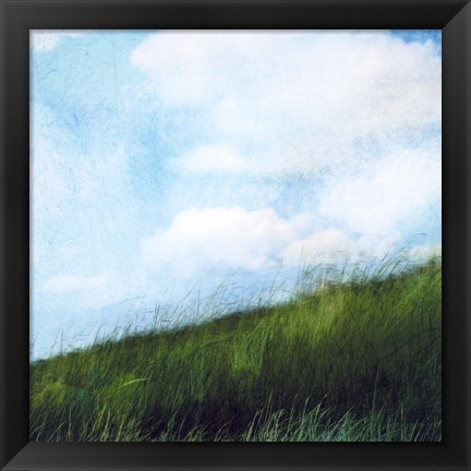 Framed Bright Field II Print