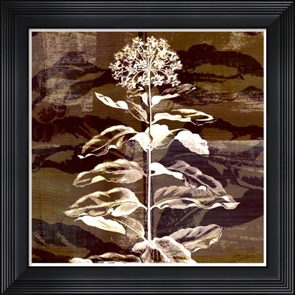 Framed Prairie Mix VI Print