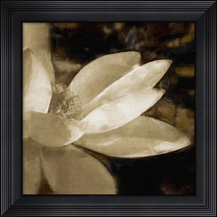 Framed Bronze Lily IV Print