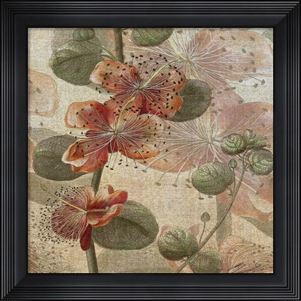 Framed Desert Botanicals I Print