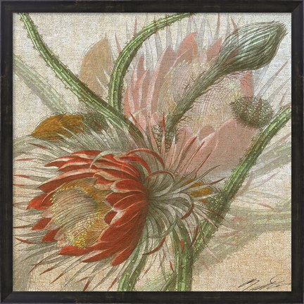 Framed Desert Botanicals II Print
