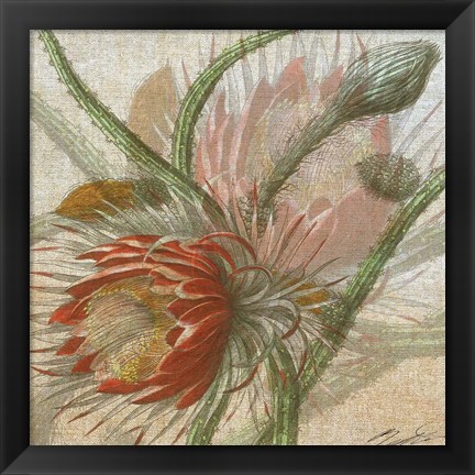 Framed Desert Botanicals II Print