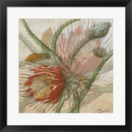 Framed Desert Botanicals II Print