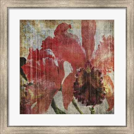 Framed Pacific Orchid I Print
