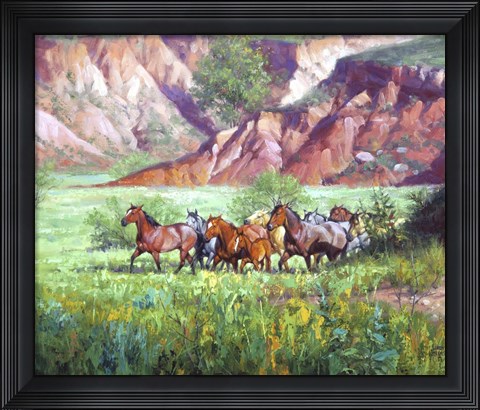 Framed On the Canyon Floor Print