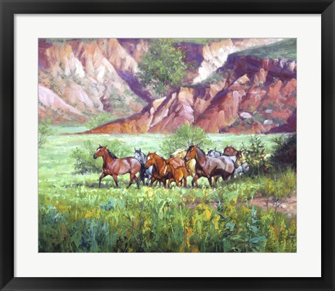 Framed On the Canyon Floor Print