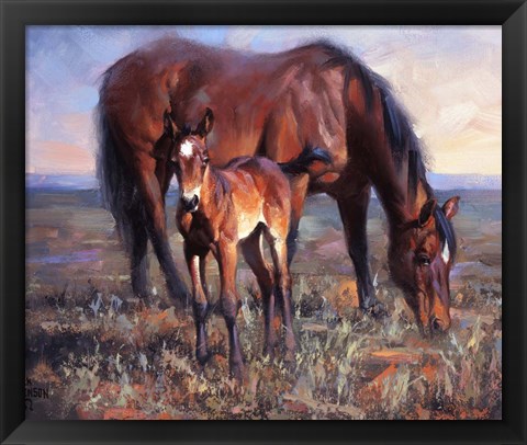 Framed Bay Filly Print