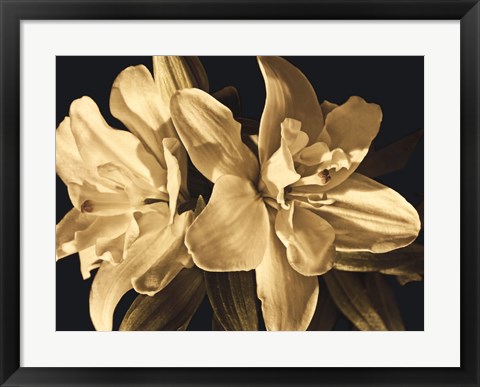 Framed Yvoire Flower II Print