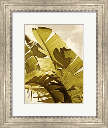 Framed Palm Fronds I Print