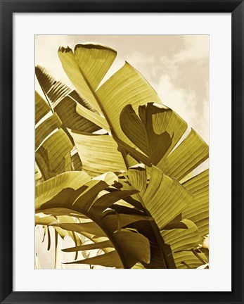 Framed Palm Fronds I Print