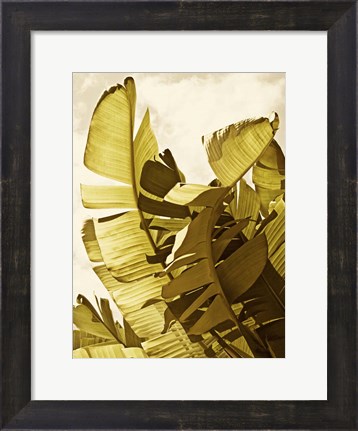 Framed Palm Fronds II Print