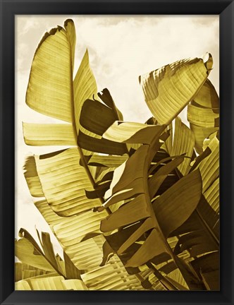 Framed Palm Fronds II Print