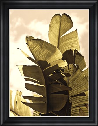 Framed Palm Fronds IV Print