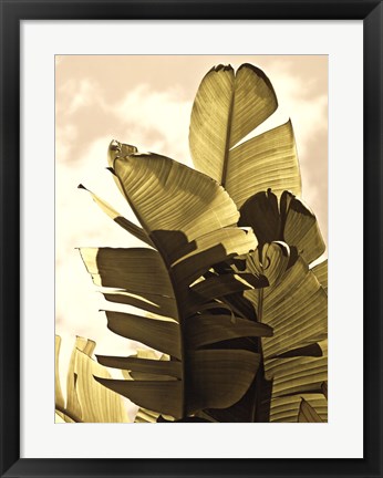 Framed Palm Fronds IV Print