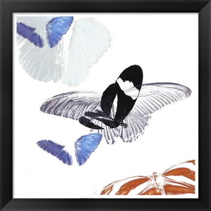 Framed Butterfly Inflorescence I Print